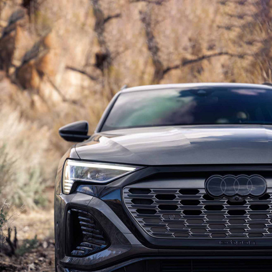Front profile view of an Audi Q8.