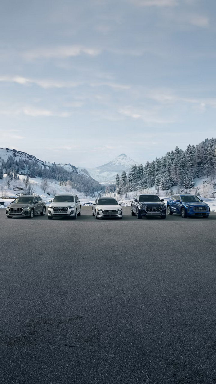 Season of image in Audi Rancho Mirage